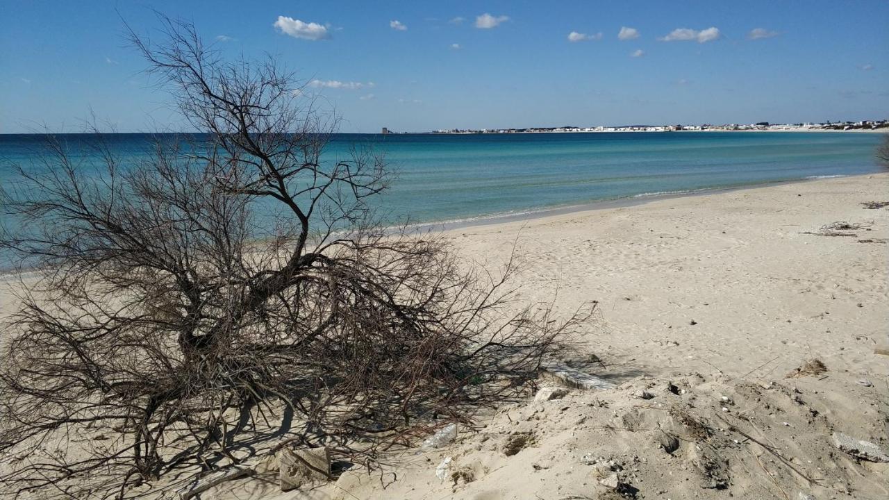 Casa Di Rita Al Bassamarea Villa Porto Cesareo Luaran gambar